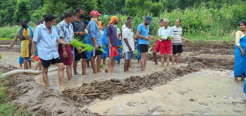 बैतडीको तिरखडेनीमा नेपाल र भारतका जनप्रतिनिधिको सहभागितामा रोपाँई 